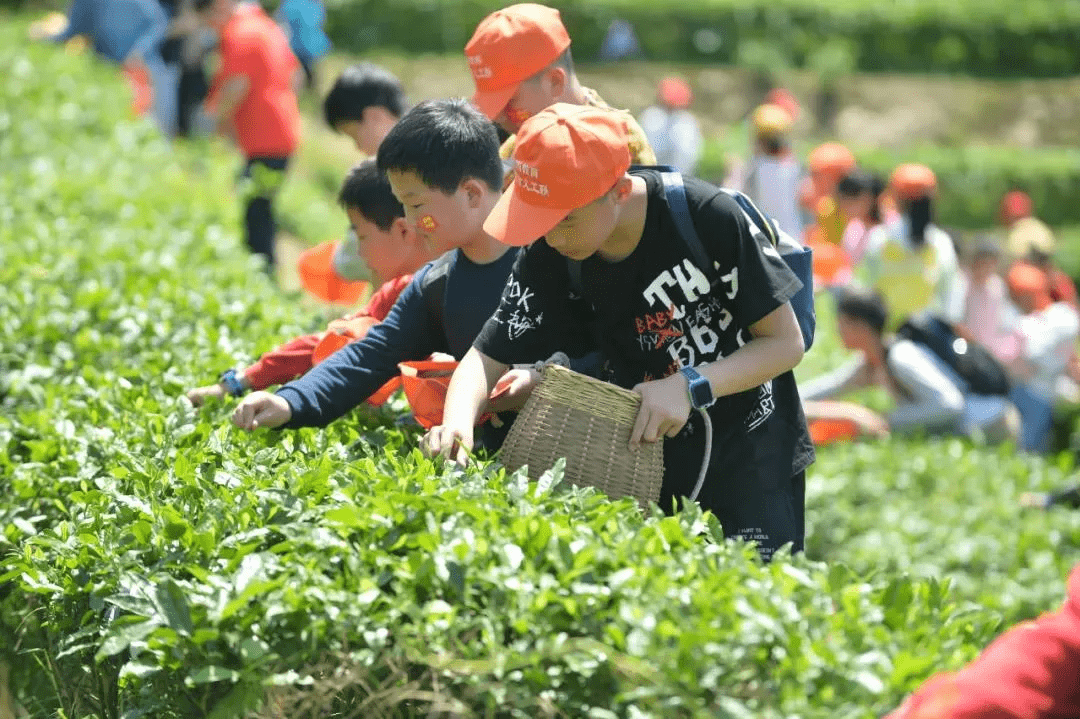 @ 全体家长：积极落实“五项管理”，戴雨教育这样做